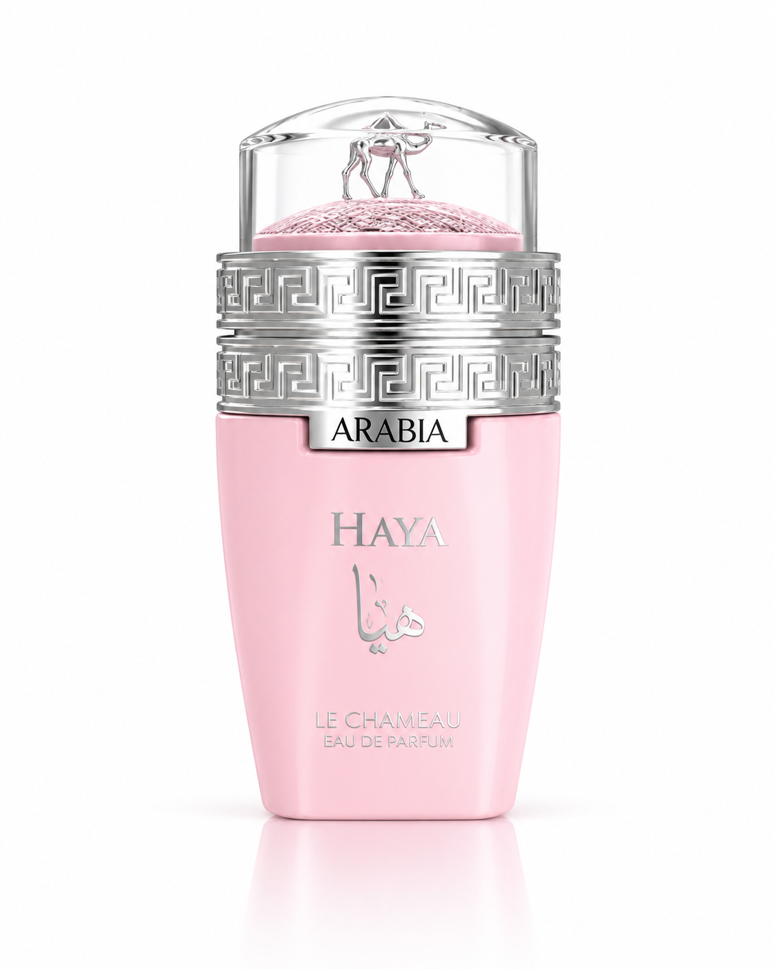 ARABIA HAYA EDP BY LE CHAMEAU 100ML