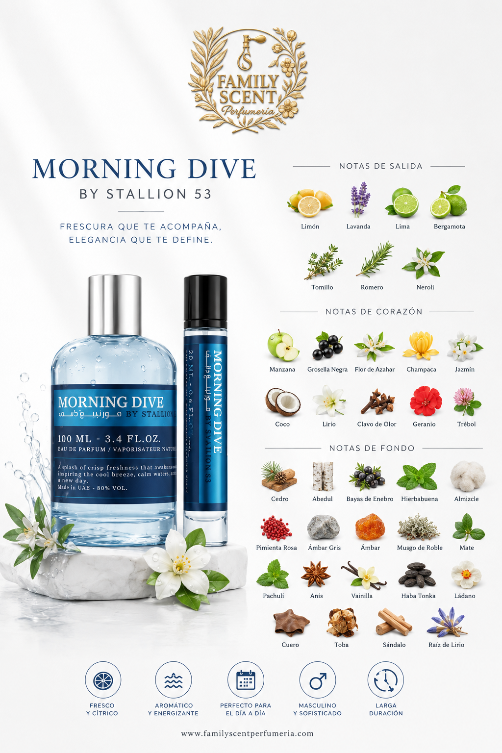 Morning Dive By Stallion +20 ml