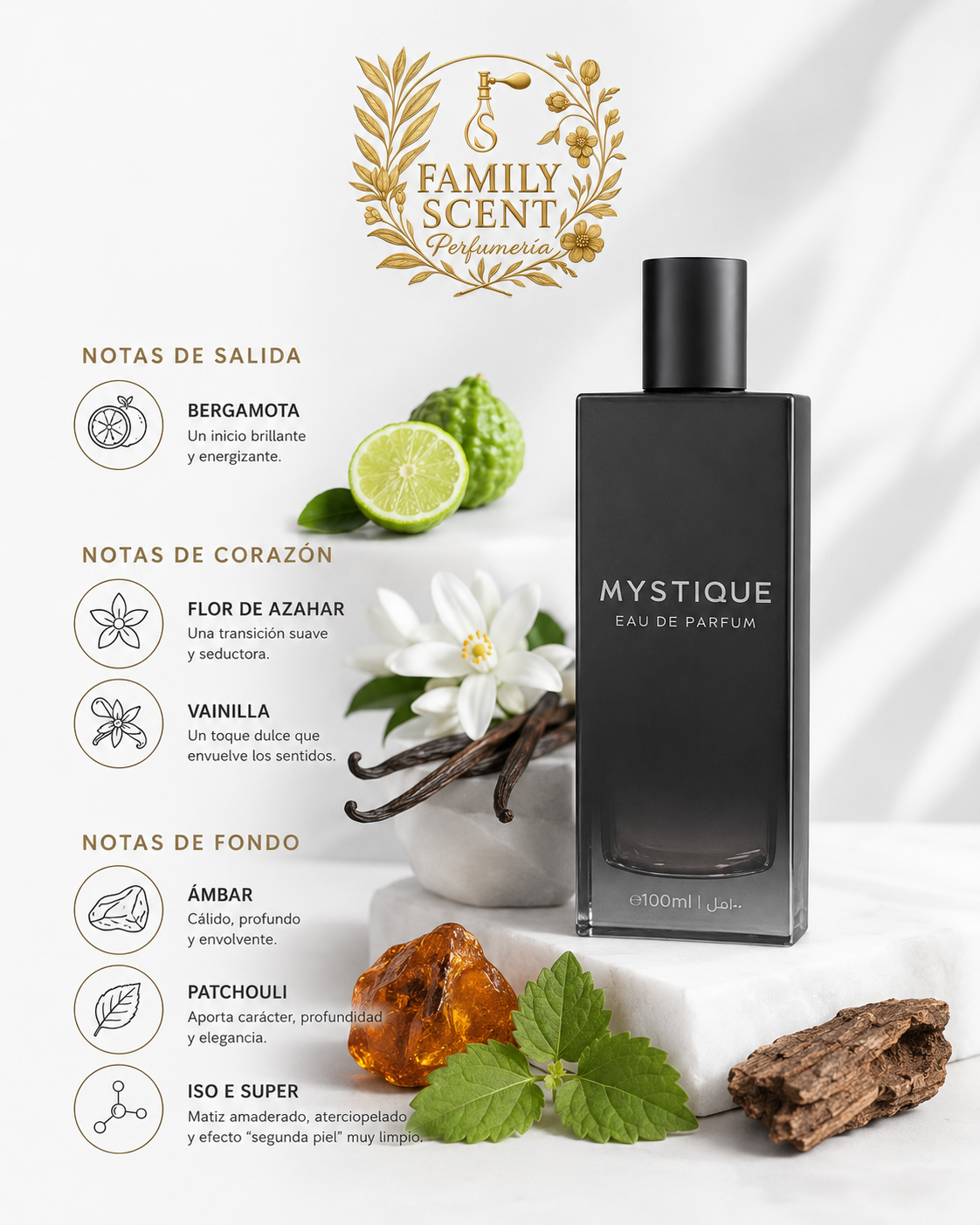 MYSTIQUE POUR HOMME  EDP 100ML