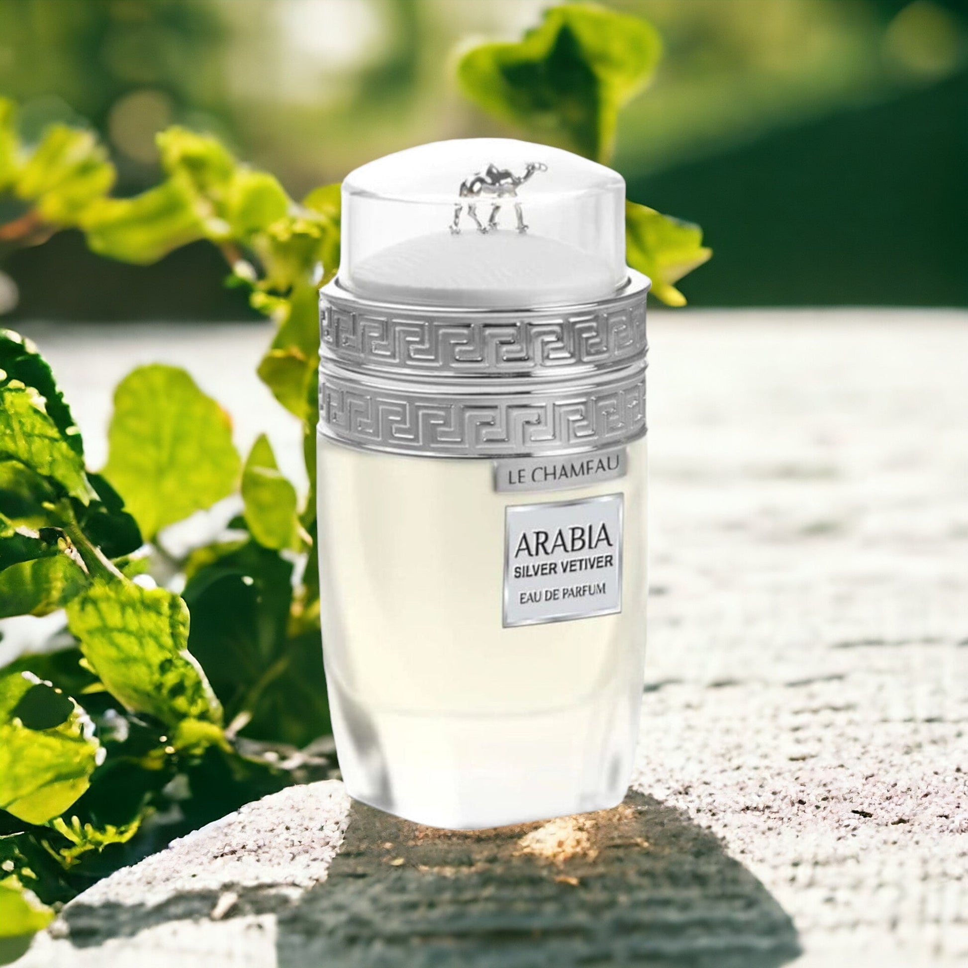 EMPER LE CHAMEAU ARABIA SILVER VETIVER HOMBRE 100 ML EDP