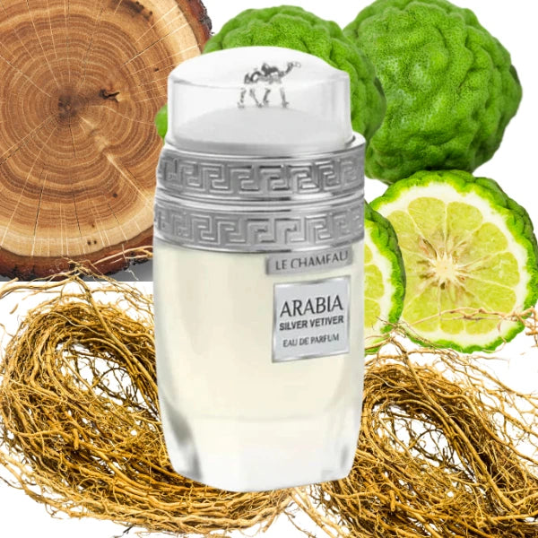 EMPER LE CHAMEAU ARABIA SILVER VETIVER HOMBRE 100 ML EDP