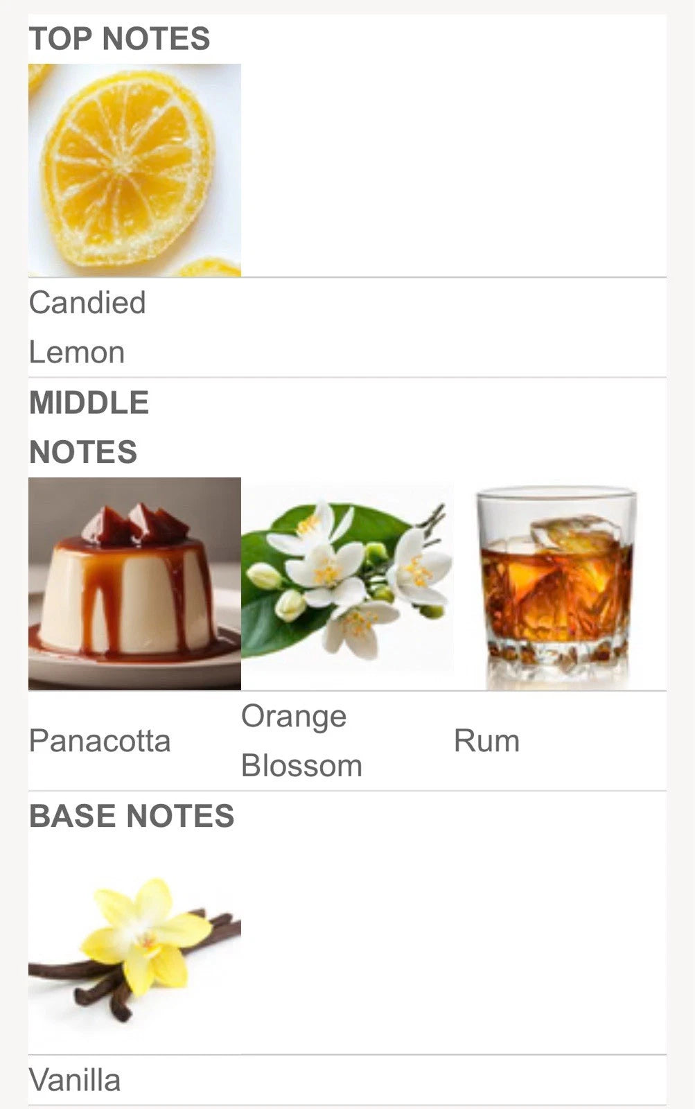 Risalah Symphony of Love