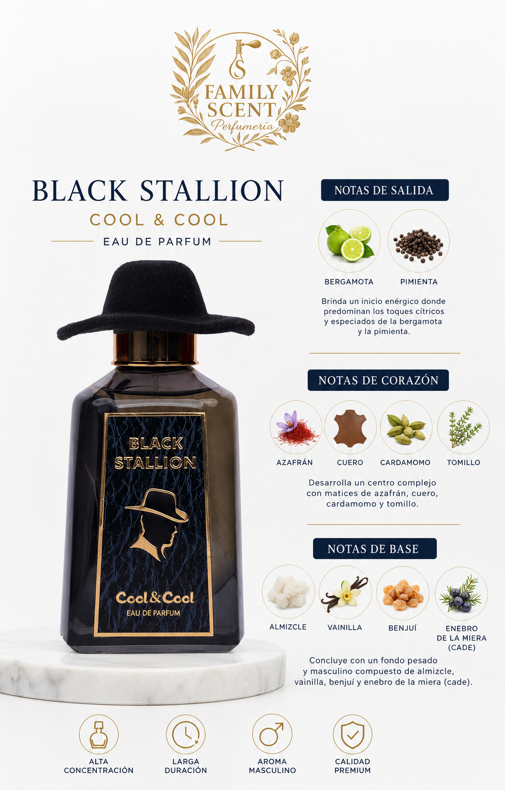 BLACK STALLION EDP BY COOL & COOL