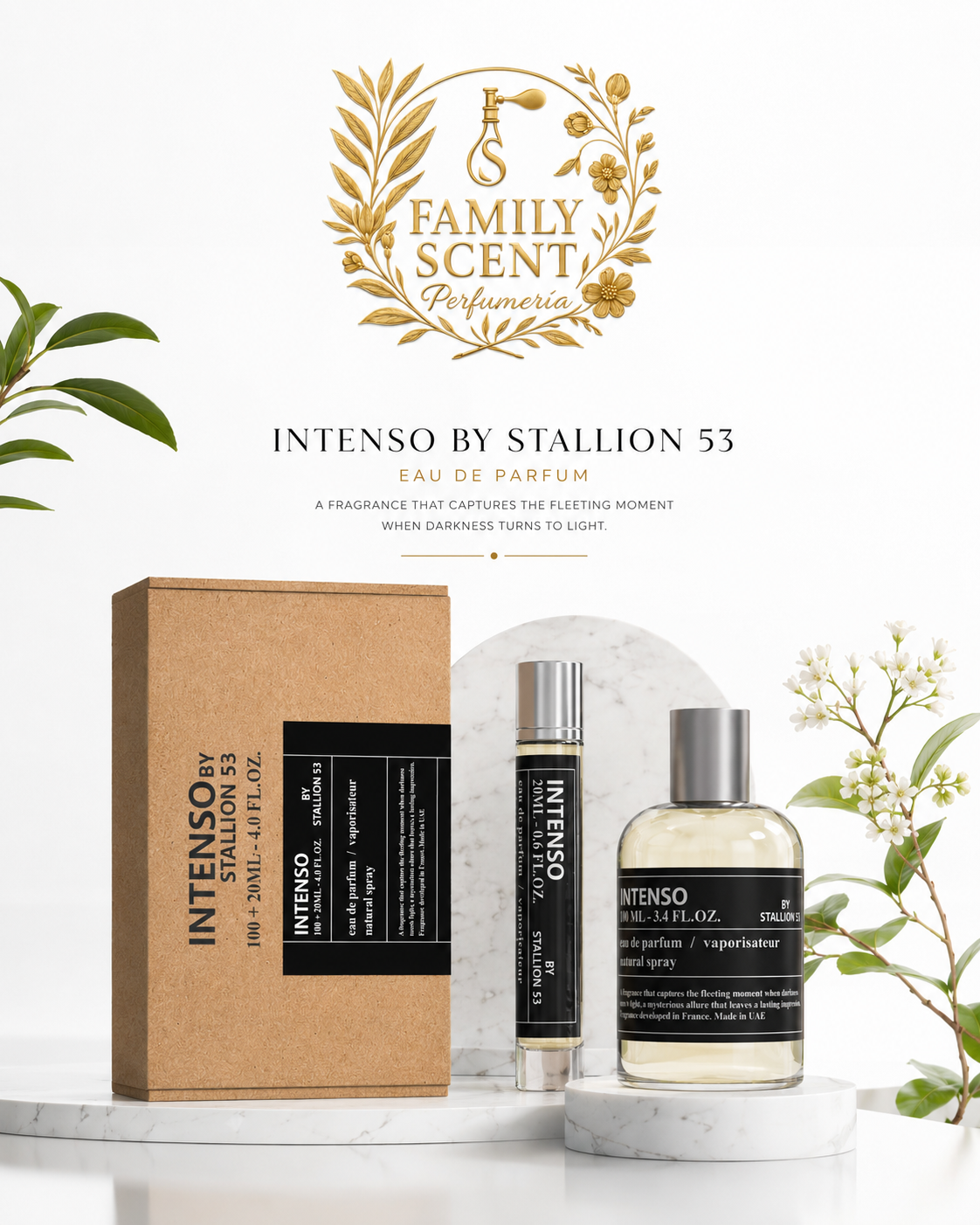 INTENSO BY STALLION 53