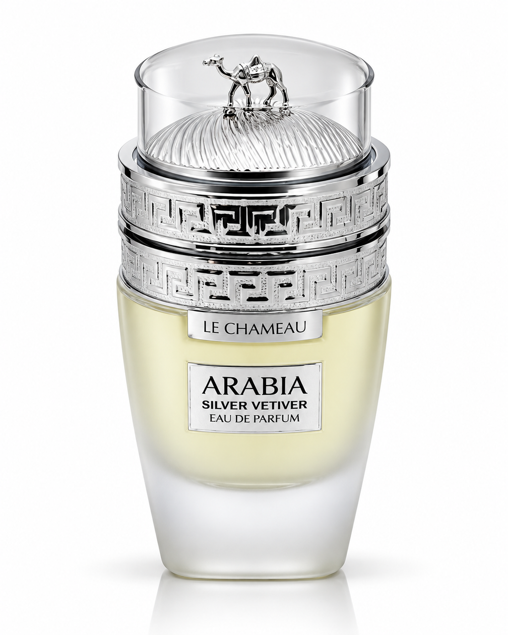 EMPER LE CHAMEAU ARABIA SILVER VETIVER HOMBRE 100 ML EDP